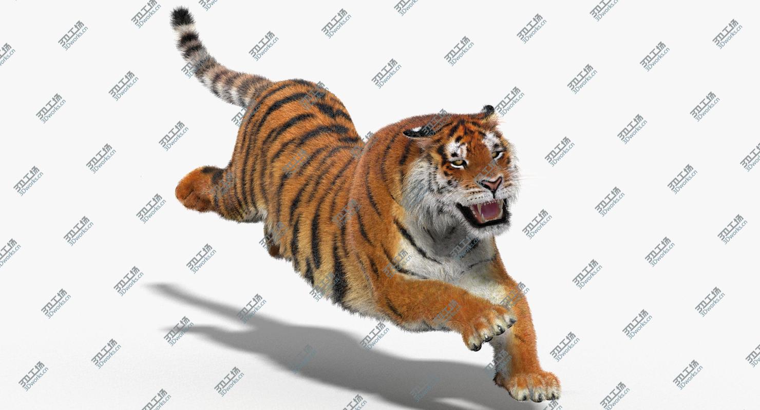 images/goods_img/202105072/3D model Big Cats Animated (Fur)/3.jpg